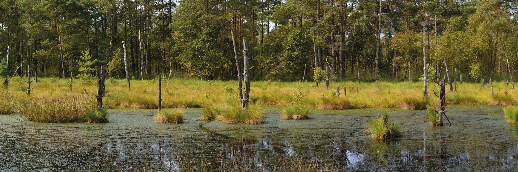 Was ist ein Moor? Fahrt nach Inzell